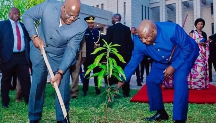 RDC-Burundi : Quels fruits donnera cet arbre planté par Tshisekedi et Ndayishimiye ?