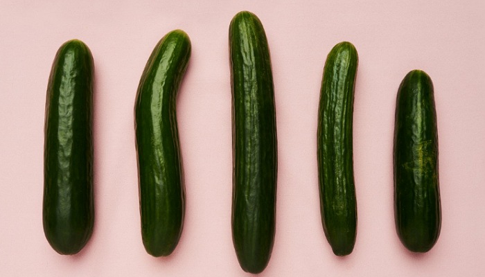Voici les 4 formes de penis et leurs atouts selon la science (-18)