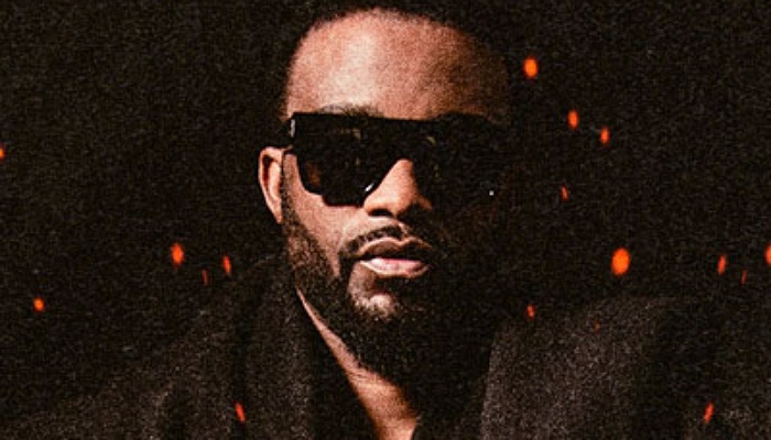 Fally Ipupa a dit : « 2006-2026. 20 ans de musique. 20 ans de passion, de combats, de partage. 20 ans avec vous ».