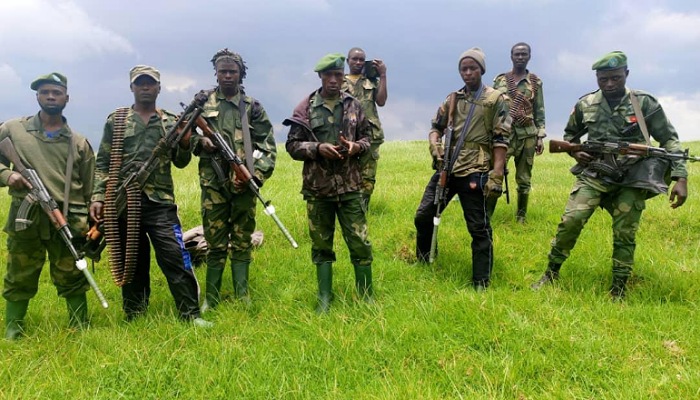 RDC : La coalition des Wazalendo radie un élément gênant