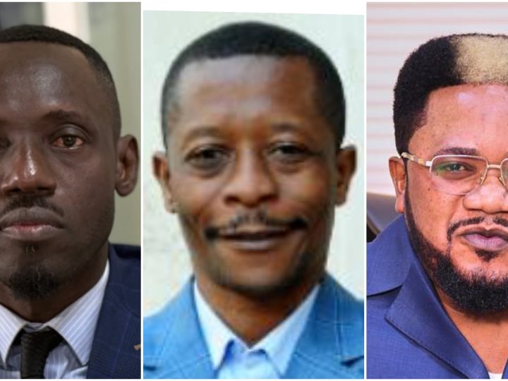 Ils ont réagi face â l&rsquo;accueil par la RDC des migrants expulsés des USA