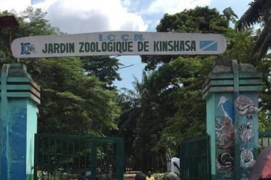 Coup d’envoi de la métamorphose du Zoo de Kinshasa